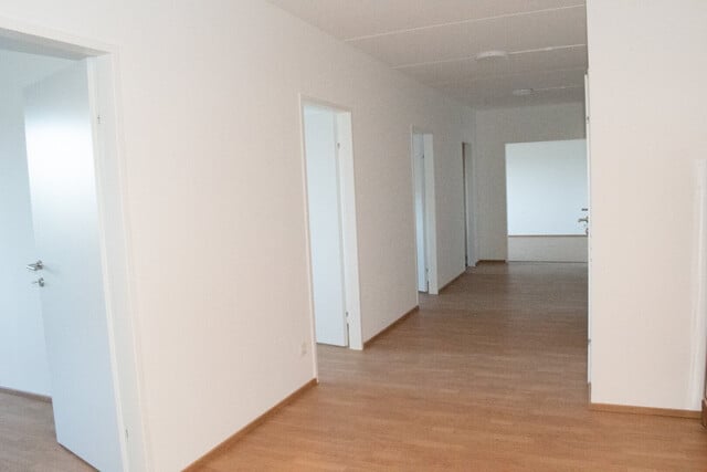 Lichtdurchflutete 4-Zimmer-Wohnung mit Loggia in Wiener Neudorf