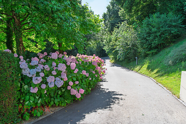 Ein Ort, der Eleganz flüstert und Schönheit atmet