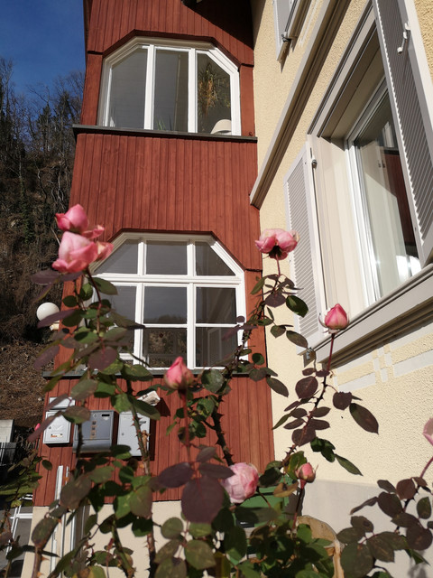 Von Privat: Altbau- Dachgeschosswohnung mit Gemeinschaftsgarten