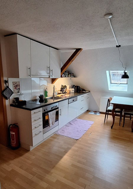 Von Privat: Altbau- Dachgeschosswohnung mit Gemeinschaftsgarten