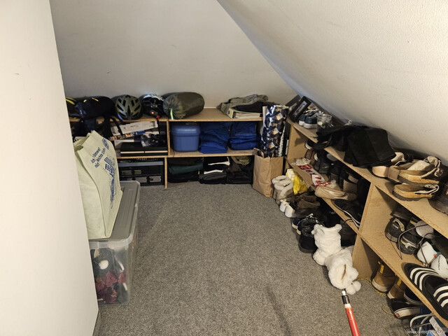 Wunderschöne Loft-Wohnung mit Balkon, klimatisiert und Tiefgaragenplatz in Feldkirch - Gisingen