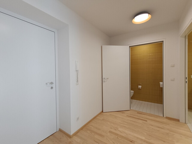 1,5 -Zimmer-Dachgeschosswohnungen in Frastanz