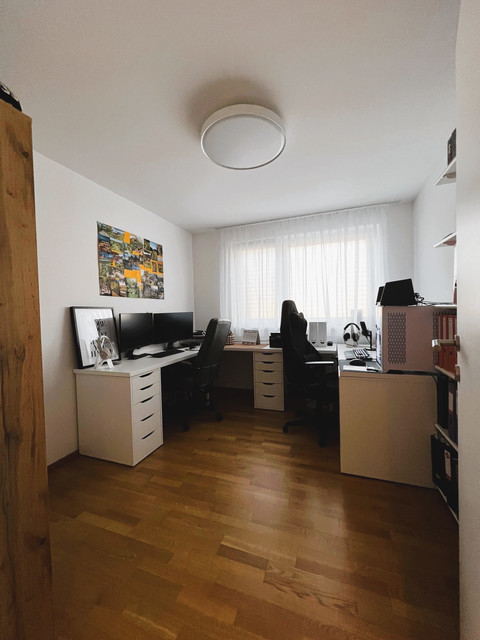 Stilvolle 4-Zimmer-Wohnung mit Terrasse und Bergblick in Höchst