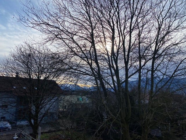 Starter-Wohnung/Single-Wohnung 34m2 mit Terrasse