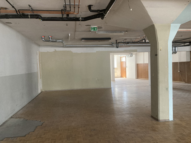 Gewerbe, Lager, Werkstatt, Bürofläche  (320m²) / Lagerfläche in bester Lage in Grenznähe zur Schweiz zu vermieten