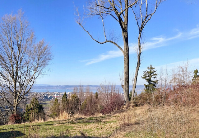 Sonnige 3-Zimmerwohnung in ruhiger Lage von Dornbirn