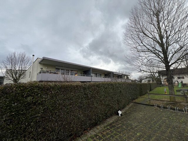 Traumhafte Wohnung in Höchst: 3-Zimmer, Terrasse und Carport