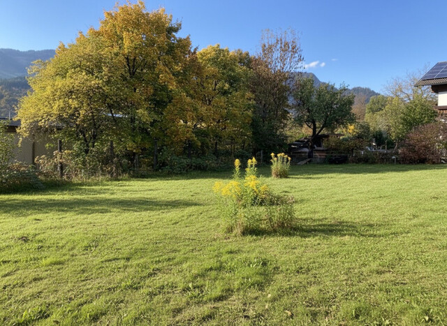 Wunderschönes Baugrundstück in Top-Lage in Bludenz
