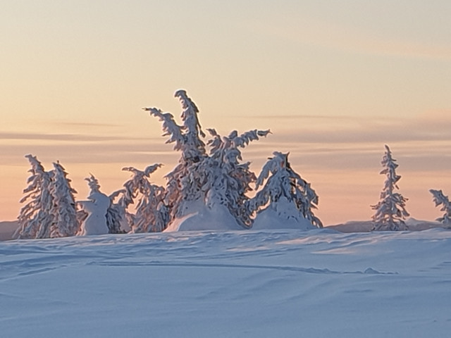 Ferienanlage in Schwedisch Lappland, 9 Wohnungen