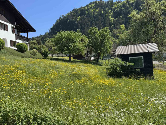 Sonniges Baugrundstück mit herrlicher Aussicht