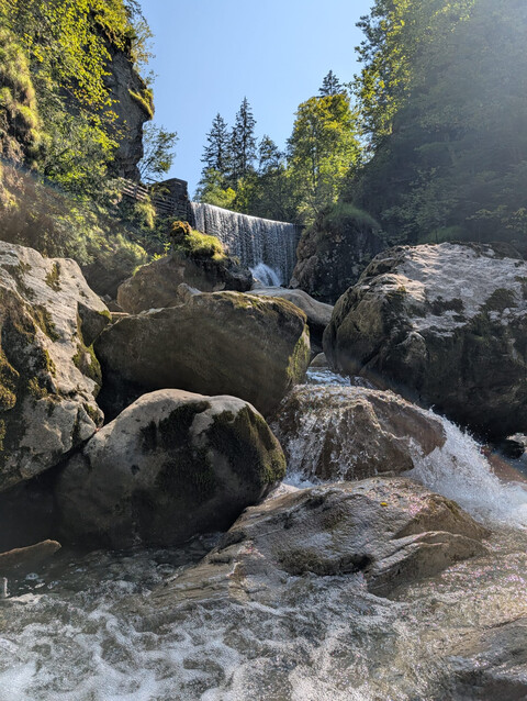 Neue Pächter:innen für den Rappenloch-Stadl gesucht