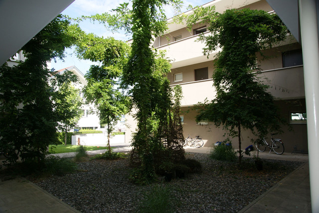 2-Zimmerwohnung in Dornbirn - Haselstauden Top 17