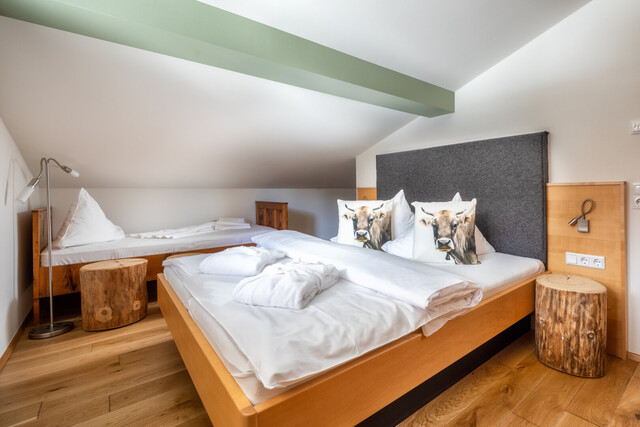 Investment mit Zukunft | 4*-Appartementhotel in Vorarlberg, St. Gallenkirch | kaufen