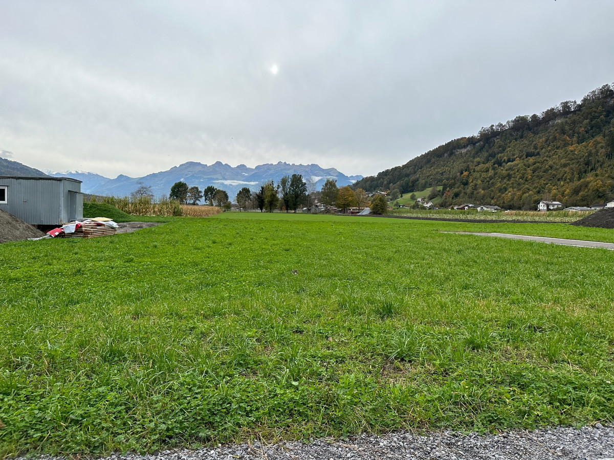 Schön gelegenes Baugrundstück in Feldkirch-Tosters