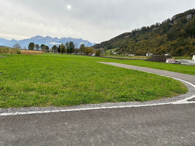 Schön gelegenes Baugrundstück in Feldkirch-Tosters
