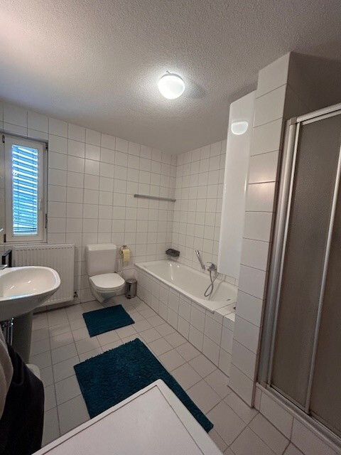 Helle geräumige 3-Zimmerwohnung ab Mai zu vermieten 