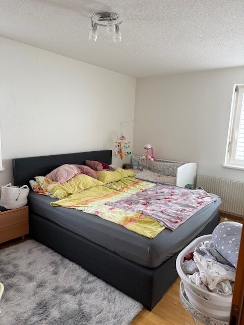 Helle geräumige 3-Zimmerwohnung ab Mai zu vermieten 