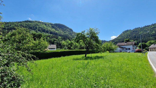 Sonniges Grundstück zu verkaufen