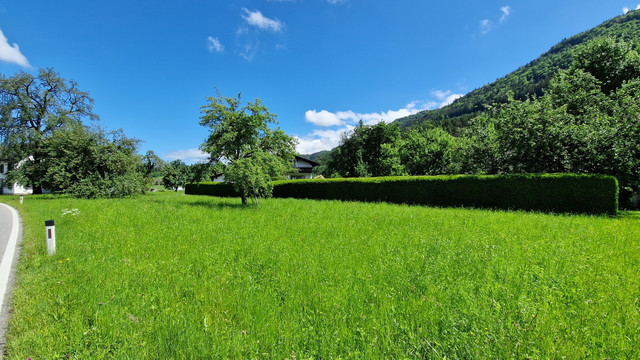 Sonniges Grundstück zu verkaufen