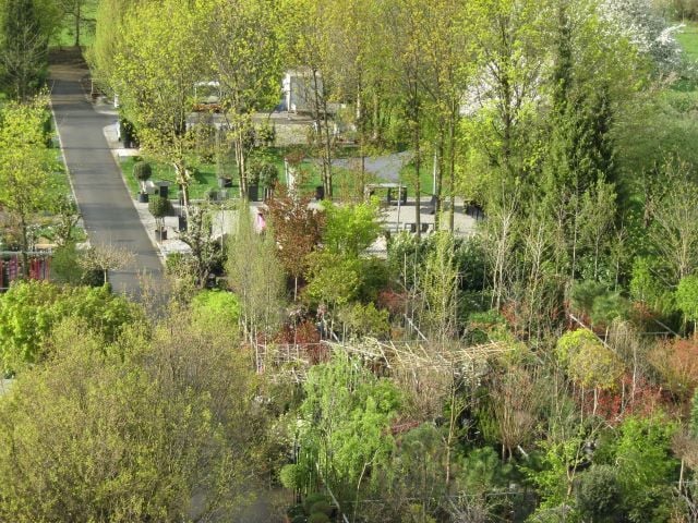 Gewerbliche Liegenschaft (Gärtnerei) in sonniger und guter Lage, zentral im Rheintal gelegen!