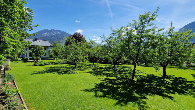 Sonniges Grundstück mit 616 m² zu verkaufen