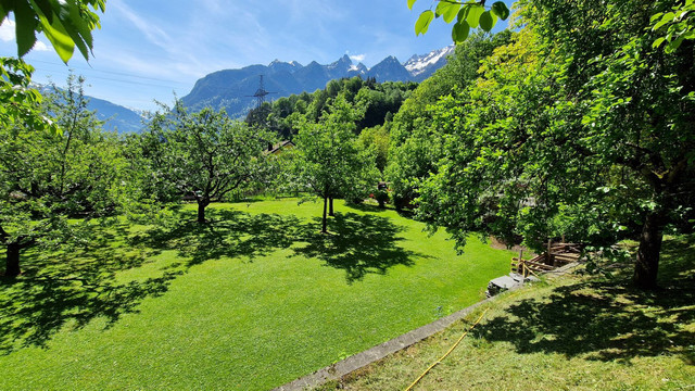 Sonniges Grundstück mit 616 m² zu verkaufen