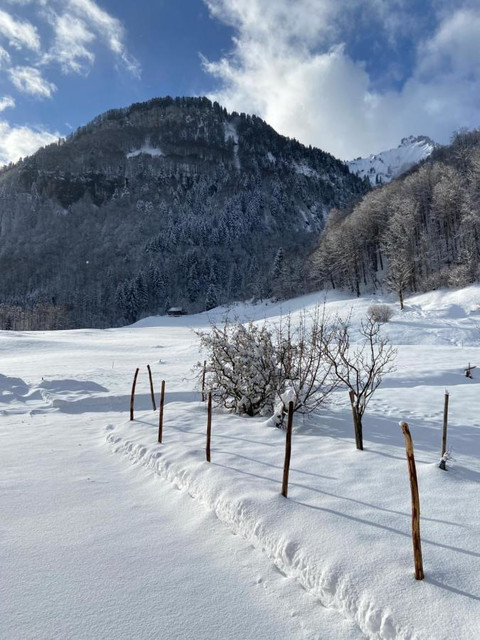 Moderne Ferienwohnung im Herzen des Bregenzerwaldes - attraktives Investment in Mellau