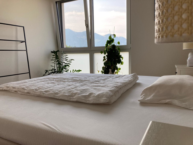 Helle 2 Zi. Dachgeschosswohung mit grosser Terrasse 25m