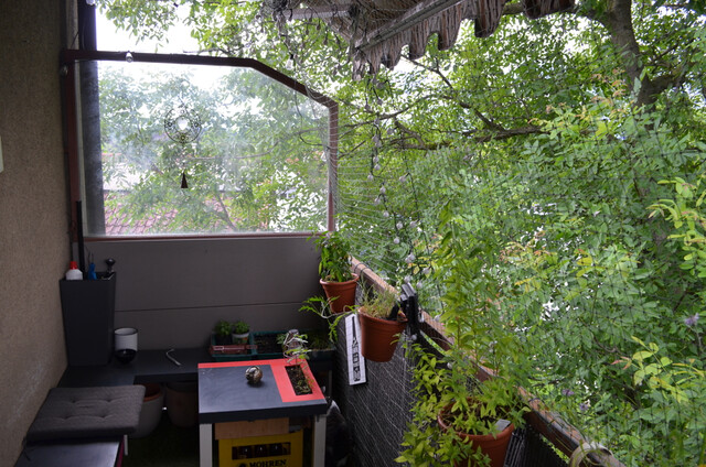 Helle, grenznahe 4-Zimmerwohnung mit Balkon in Lustenau (verfügbar ab September 2025)