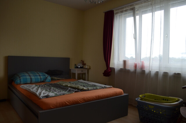 Helle, grenznahe 4-Zimmerwohnung mit Balkon in Lustenau (verfügbar ab September 2025)