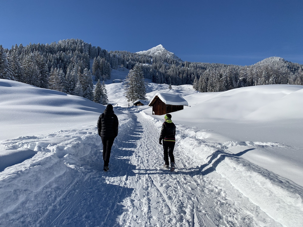 Grundstück für ein Ferienhaus im Schi- und Wandergebiet