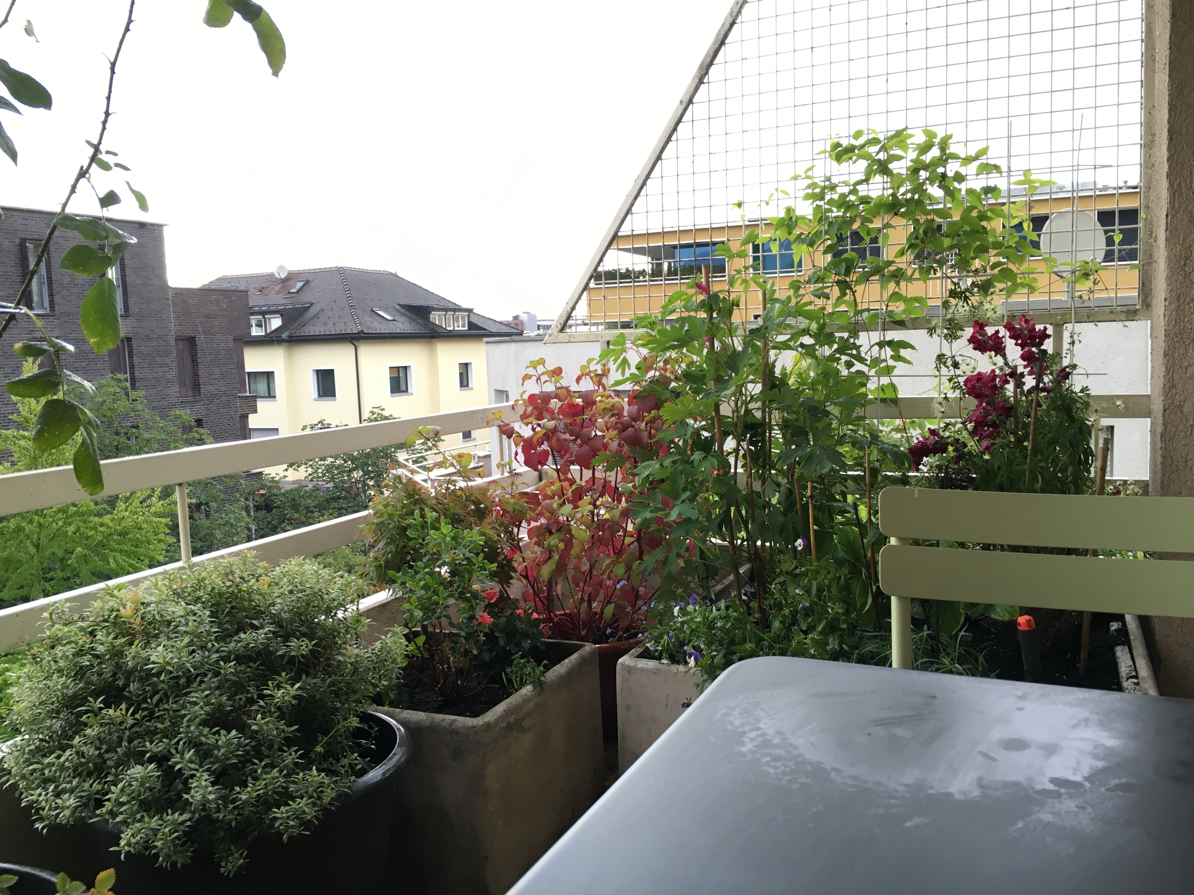 Schöne und ruhige  2-Zimmer Terrassenwohnung in Atriumhaus im Herzen von Dornbirn provisionsfrei