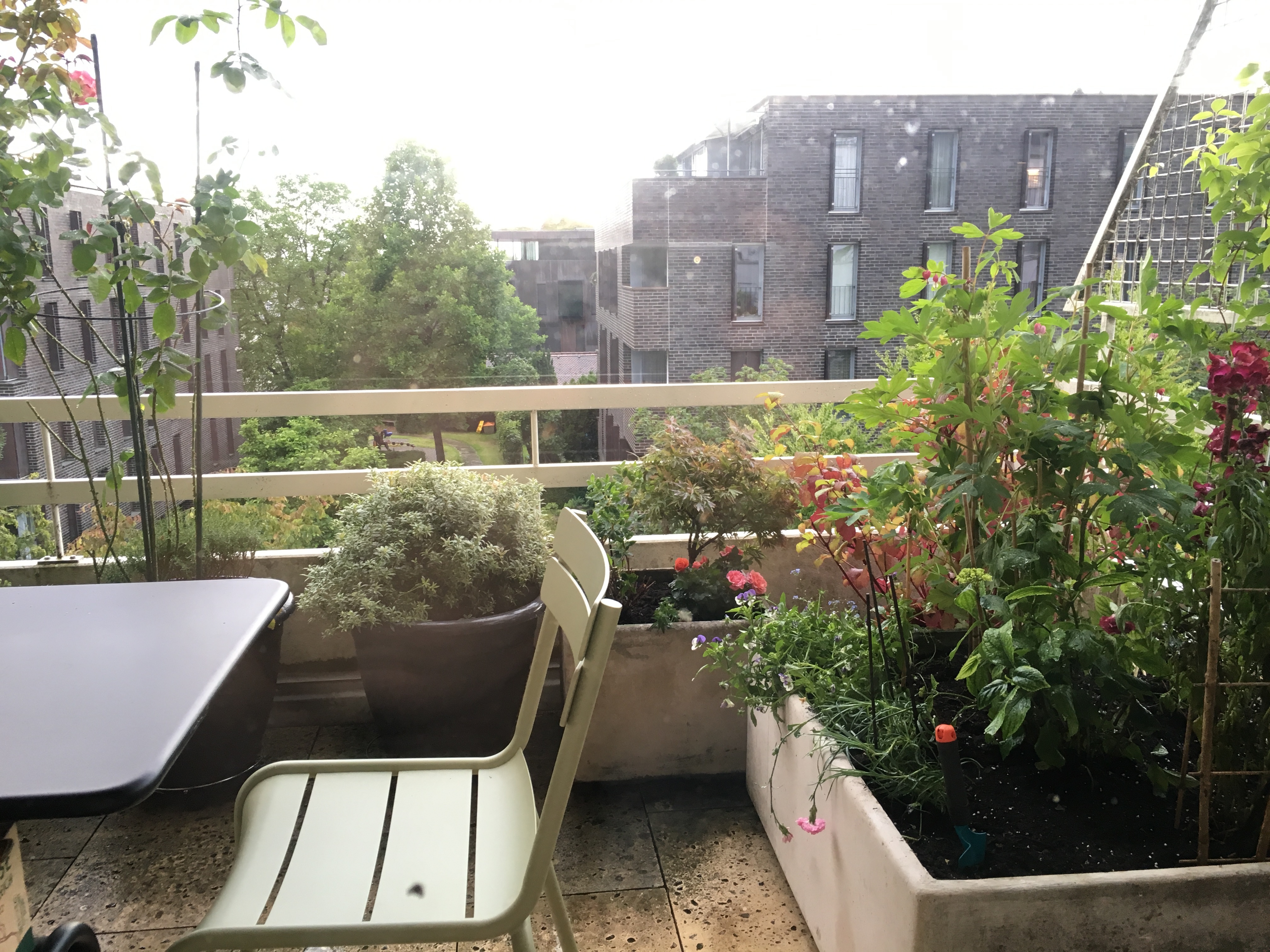 Schöne und ruhige  2-Zimmer Terrassenwohnung in Atriumhaus im Herzen von Dornbirn provisionsfrei