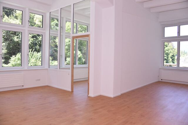 Erstbezug: Tolles Loft mit Blick zur Ill