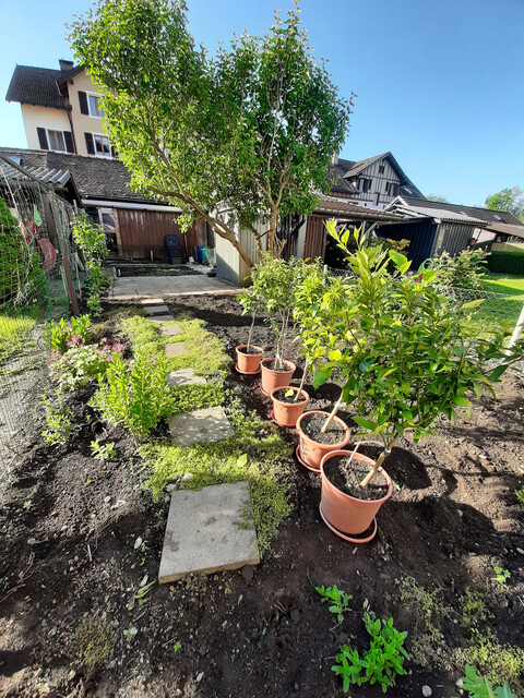 Provisionsfrei  Gemütliche 4-Zimmer-Dachgeschosswohnung  mit Garten