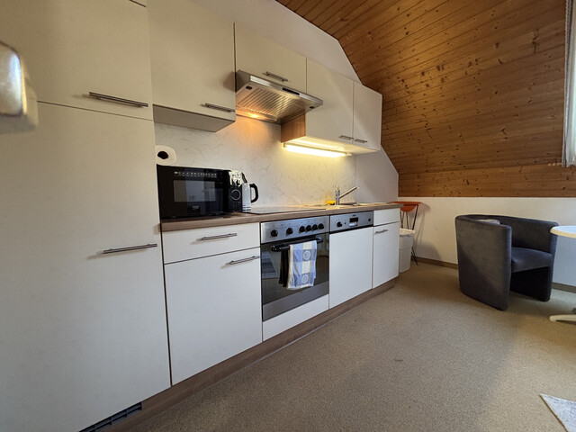 "ohne Provision" geräumige, möblierte 3,5 Zimmer Terrassenwohnung
