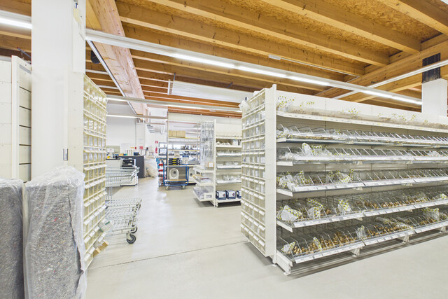 Ideale Handelsfläche für Selbstabholer - Grafencenter Hard