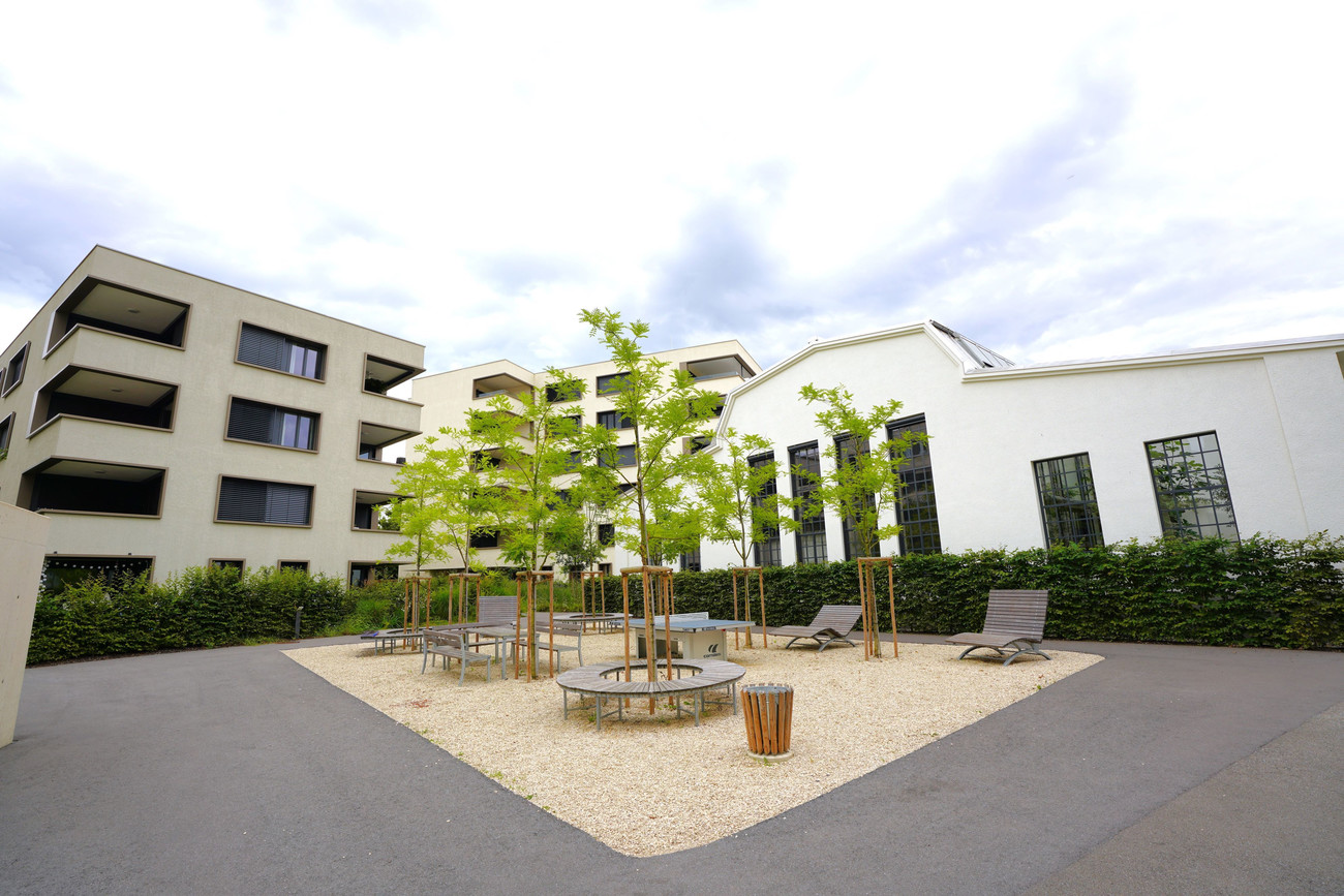 Lochau Hörbranzer Straße: Moderne 2-Zimmer-Neubau-Wohnung mit Balkon und Tiefgaragenplatz