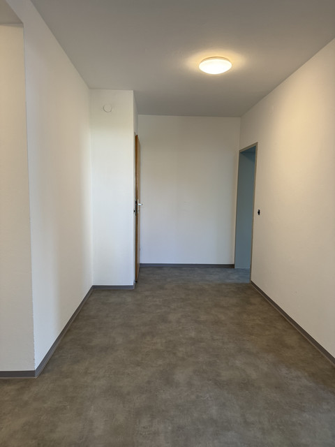 Gemütliche 3-Zimmer-Wohnung mit Balkon &  Gartenmitbenutzung in Höchst zu vermieten