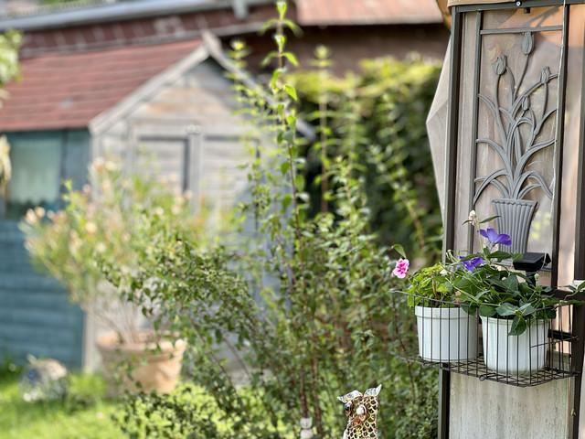 Preiswertes Haus mit Rückmieter zu verkaufen!