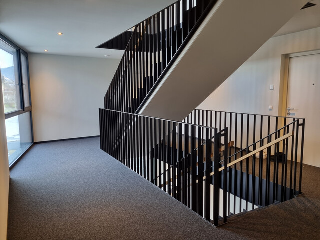 Neuwertige 2 Zimmerwohnung in Lustenau