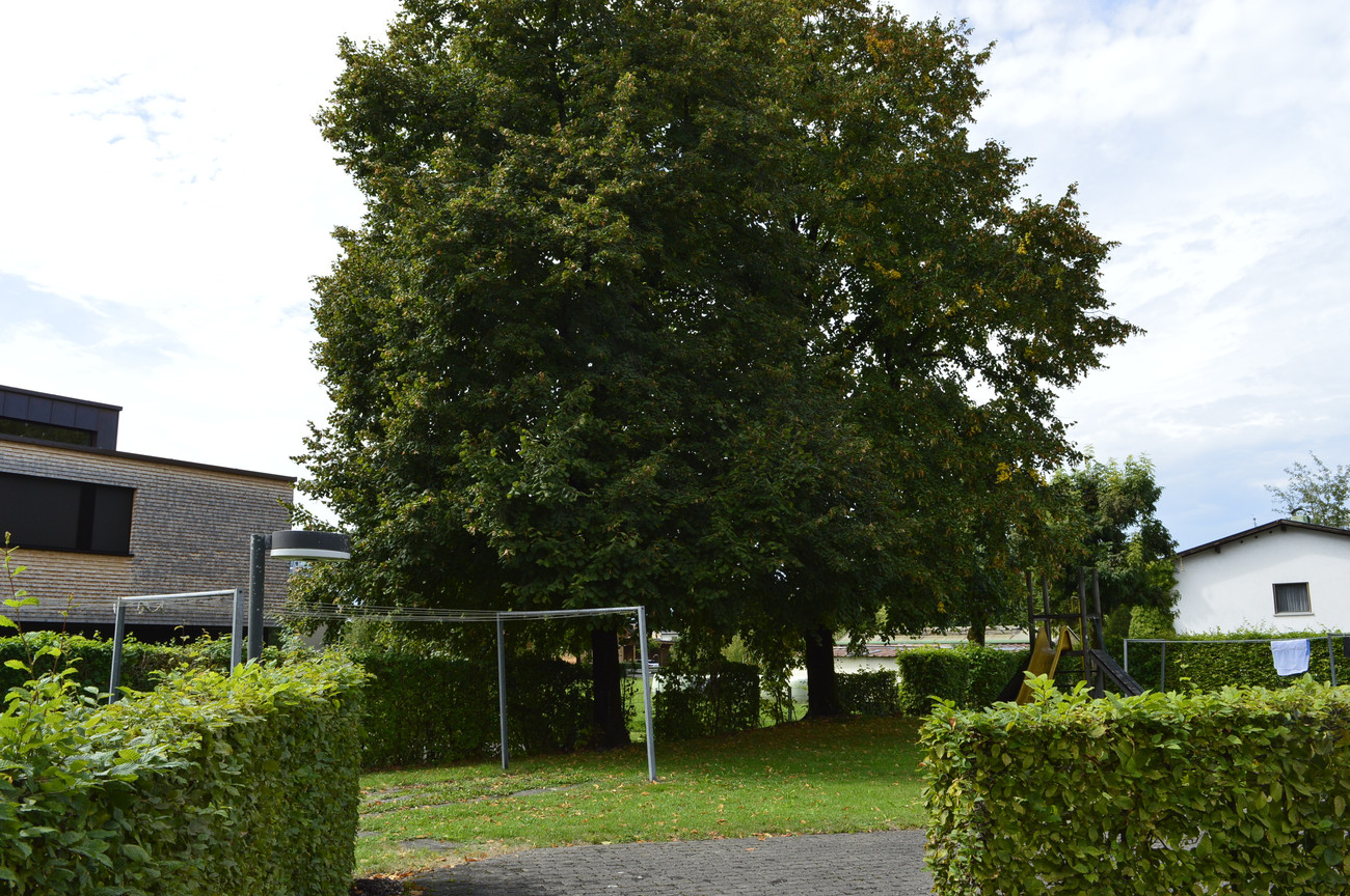 Top gepflegte 4-Zimmerwohnung in ruhiger Lage in Dornbirn, Kaufmännen 27, TOP 16