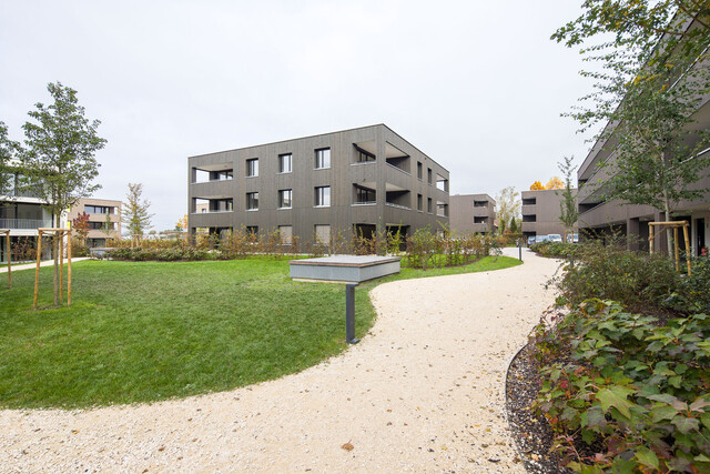 Helle 3-Zimmerwohnung zum Spitzenpreis I Whg C03