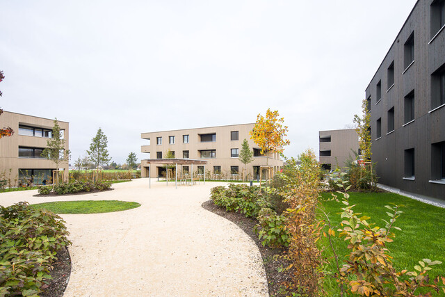 Helle 3-Zimmerwohnung zum Spitzenpreis I Whg C03