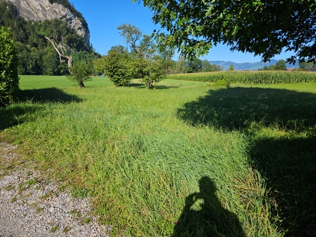 Traumhaftes Grundstück für Naturliebhaber, in sonniger und ruhiger Lage, zentral im Rheintal gelegen!