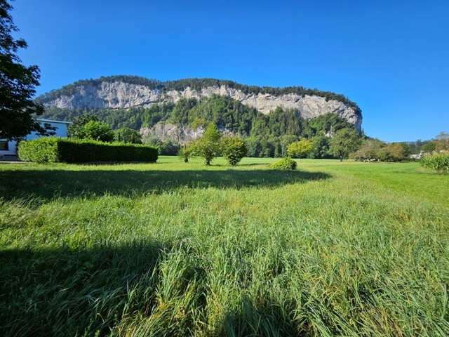 Traumhaftes Grundstück für Naturliebhaber, in sonniger und ruhiger Lage, zentral im Rheintal gelegen!