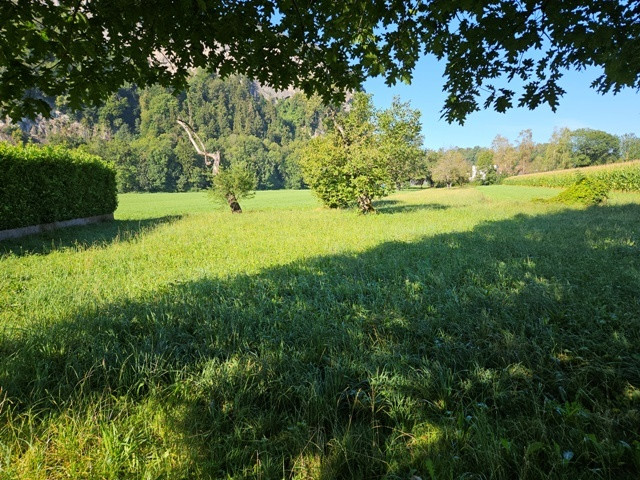 Traumhaftes Grundstück für Naturliebhaber, in sonniger und ruhiger Lage, zentral im Rheintal gelegen!