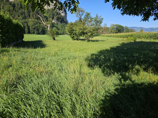 Traumhaftes Grundstück für Naturliebhaber, in sonniger und ruhiger Lage, zentral im Rheintal gelegen!