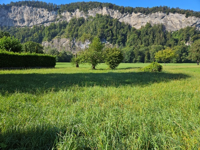 Traumhaftes Grundstück für Naturliebhaber, in sonniger und ruhiger Lage, zentral im Rheintal gelegen!