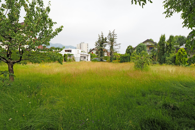 Top Gelegenheit: Traumgrundstück mit Altbestand in Feldkirch – Gisingen